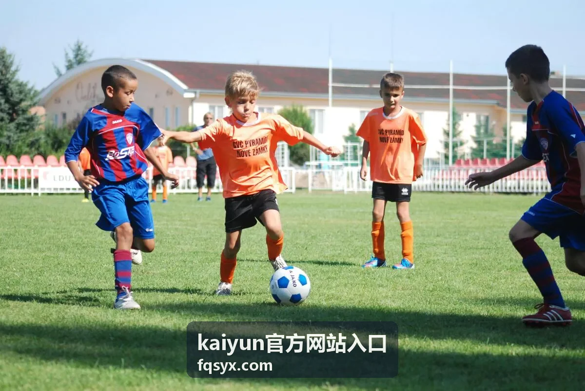 kaiyun官方网站入口官方入口导航总览示意图